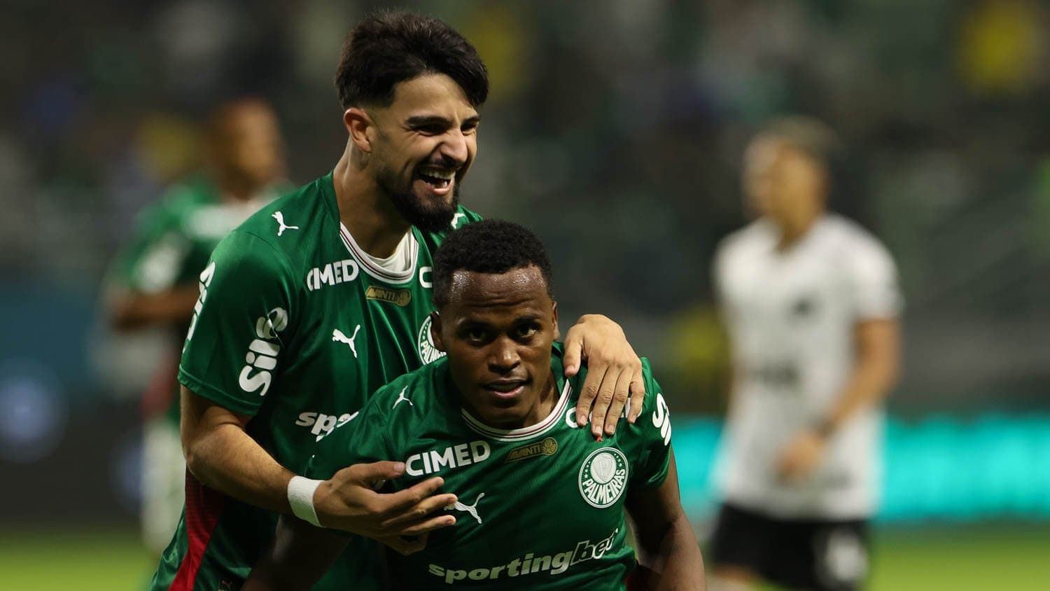 Palmeiras vence o Botafogo e assume a liderança do Brasileirão; confira como foi o jogo
